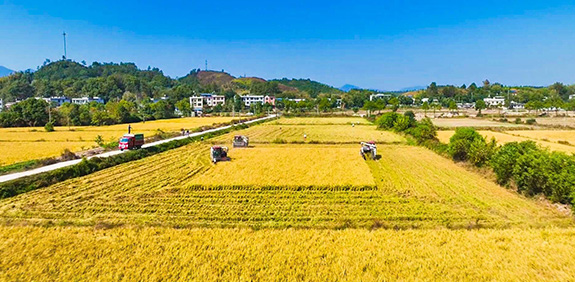 高标准农田1.jpg